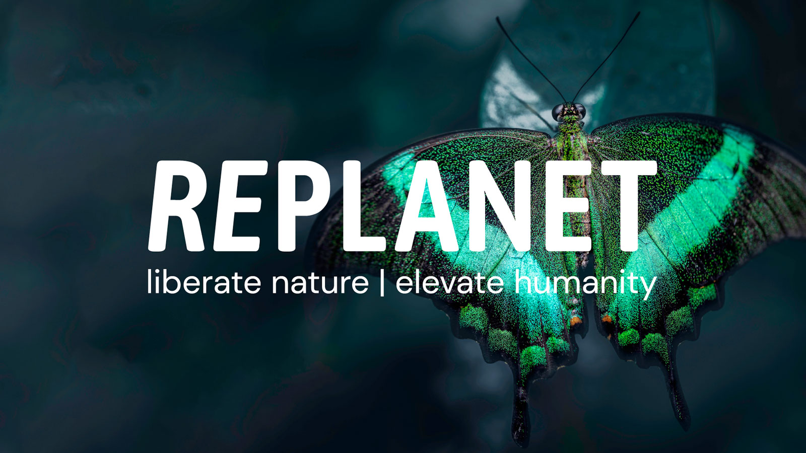 Who finances RePlanet?