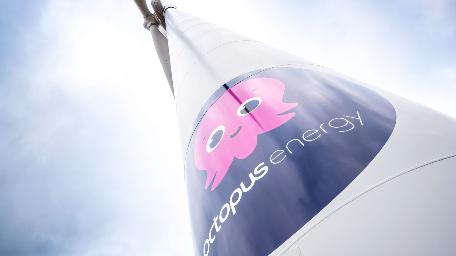 Octopus Energy is reportedly exploring the possibility of constructing its own electricity pylons